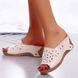 Sandals Platform Shoes Woman Summer Fashion Female Shoes Slip On Wedge Sandals Heel Women Shoes Ladies Chaussures
