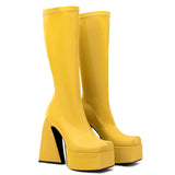 Plus Size 45 INS Brand Women's Boots High Heels Platform Shoes Punk Goth Cool Fashion Sexy Mid Calf Motorcycle