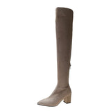 Boots Female Autumn Dong Thick Heel High Heel 2023 New Thick Leg Khaki Boots Suede Pointed Elastic