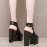 Breakj Heel 14 Cm Roman Sandals Women's Banquet Wearing Fish-Mouthed Shoes Thick-Soled Waterproof Trolley Model Model Show
