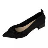 Breakj Famous Pointy-Headed Solid Single-Shoe Women In The Autumn Of 2025 New Net Red With 100 Single Shoes With Anti-Slip