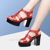 Breakj T-T-Slace Sandals Waterproof Table Thick Soles 41-43 Yards Cheongsam Runway Shoes Large-Size Coarse Heel Waterproof Table Women's