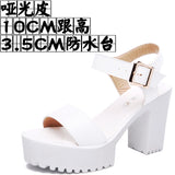 Breakj And Thick Waterproof Table Sandals Women High Heel With Heel Toe Model Show Shoes Buckle With Fish Mouth Sandals Shoes