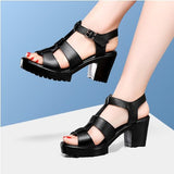 Breakj T-T-Slace Sandals Waterproof Table Thick Soles 41-43 Yards Cheongsam Runway Shoes Large-Size Coarse Heel Waterproof Table Women's