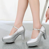 Breakj Head Buckle Waterproof Table 8CM High Heel Women's Shoes Thick-Soled Model Show Shoes Coarse Heel Work Shoes Silver Single
