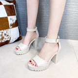 Summer Sandal Shoes for Women 2021 New Arrival Sexy Peep Toe Thick Heels Sandals Platform Casual Russian Shoes Women