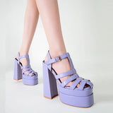 Summer New Sexy Ultra High Heel Chunky Heel Platform Sandals Female Openwork Fashion Thin Belt High Heels Large Size
