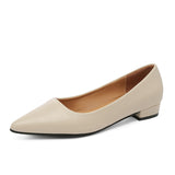 Breakj Pointed Light-Mouthed Square Heel Small Leather Shoes Women Business And Leisure Elegant Commute Single Shoes Fashion High Heels Women Four