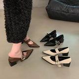 Pointed Mary Jane Small Leather Shoes British Spring 2024 New Korean Version Of French Rough Heels Love Single
