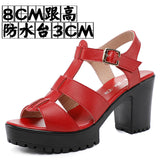 Breakj T-T-Slace Sandals Waterproof Table Thick Soles 41-43 Yards Cheongsam Runway Shoes Large-Size Coarse Heel Waterproof Table Women's