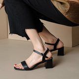 Size 34-40 Heeled Sandals Women Summer 2023 High Heels Shoes For Women Fashion Ankle Strap Buckle Chunky Heel