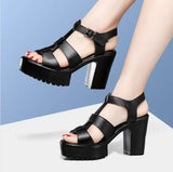 Breakj T-T-Slace Sandals Waterproof Table Thick Soles 41-43 Yards Cheongsam Runway Shoes Large-Size Coarse Heel Waterproof Table Women's