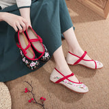 Breakj Cloth Shoes Women's Shoes Retro Square Dance Shoes Embroidered Shoes Shallow Mouth Low Heel Spring And Autumn Women's Single