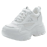 Breakj Old Dad Shoes Women 2025 Summer New Set-Up Women Small Net Breathable
