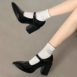 Women's Thick Heels Mary Jane Shoes 2024 New Spring Black Leather Shoes French Retro Pointed Single