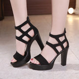 Sandals Women's 2023 Summer High Heels Open-Toed Thick Heels Waterproof Platform Large Size 41-43 Catwalk Catwalk