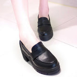 Mary Jane Small Leather Shoes Jk Shoes, A New Style College Style Thick-Heeled Retro Uniform In Spring