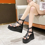 Breakj Size 43 Summer New Sandals High Heel Cross Strap 10Cm Heel And Fish Mouth Women's
