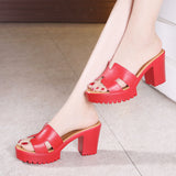 Medium Heels Thick Heel Slippers Women's Summer Thick-Soled Waterproof Platform Fashionable To Wear One-Word Flip-Flops Large Size 40-43