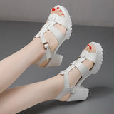 Breakj T-T-Slace Sandals Waterproof Table Thick Soles 41-43 Yards Cheongsam Runway Shoes Large-Size Coarse Heel Waterproof Table Women's