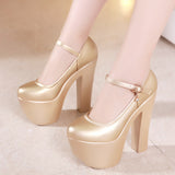 Catwalk Model Catwalk Shoes Female Super High Heels 15Cm Thick Heel Waterproof Platform Round Head Nightclub Single Shoe