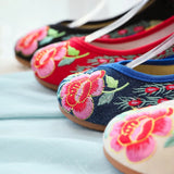 Breakj He Clothes With Embroidered Cloth Shoes Wedding Shoes Shallow Mouth Low Heel Spring And Autumn Women Single Shoes Dance