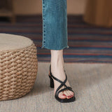 Breakj Sandals Women's 2025 Summer New Wear Fairy Wind Coarse French Small High
