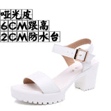 Breakj And Thick Waterproof Table Sandals Women High Heel With Heel Toe Model Show Shoes Buckle With Fish Mouth Sandals Shoes