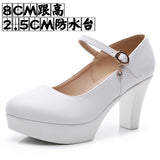 Breakj Head Buckle Waterproof Table 8CM High Heel Women's Shoes Thick-Soled Model Show Shoes Coarse Heel Work Shoes Silver Single