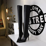 Breakj Fashion Simple Thin Heel High Heel Pointed Winter Sexy Nightclub Show Slender Over The Knee