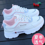 Breakj Dad Shoes 2023 Spring And Summer New Hundred Leisure Ins Tide Thin Nets Breathable Sports