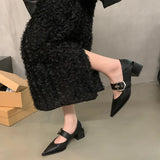 Pointed Mary Jane Small Leather Shoes British Spring 2024 New Korean Version Of French Rough Heels Love Single