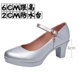 Breakj Head Buckle Waterproof Table 8CM High Heel Women's Shoes Thick-Soled Model Show Shoes Coarse Heel Work Shoes Silver Single