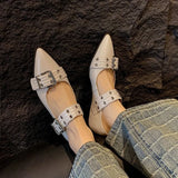 Heel Fashion Shoes Spring 2024 New Women's Shoes Belt Buckle Pointed Head Four Seasons Shoes Thick Heel Low Top Shoes Shallow Mouth Single