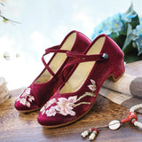Breakj Heel Shoes, Thick Heel Women's Shoes, Embroidered Cloth Shoes Retro Dance Shoes Middle Heel Shoes, Spring And Summer