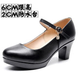 Breakj Head Buckle Waterproof Table 8CM High Heel Women's Shoes Thick-Soled Model Show Shoes Coarse Heel Work Shoes Silver Single