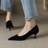 High Heels Female Spring 2024 New Korean Version Sexy Pointed Head Shallow Mouth Temperament Fine Heel Black Work Single