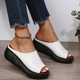 Breakj 2024 Summer A Word And Slippers With High Heel Waterproof Cold Slippers Black And White Women
