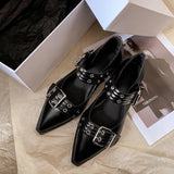 Heel Fashion Shoes Spring 2024 New Women's Shoes Belt Buckle Pointed Head Four Seasons Shoes Thick Heel Low Top Shoes Shallow Mouth Single