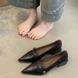 Breakj Version Of The Sharp-Pointed Thick Heel High Heels Women 2025 Spring New Evening Wind Commute With Shallow Single