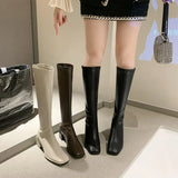 Women But Knee 2023 Spring And Autumn Small Tall And Velvet Thin Boots Thick High Heel Square Head Knight