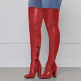 Breakj And Winter New Sexy Pointy Side Zipper High Coarse And Large Size Over Knee Boots