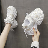 Breakj Shoes Women's Thick Back Retro 2025 Spring To Increase The Old Dad Shoes Small Net Mesh Casual Shoes