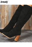 Women Suede Knee High Boots Ladies Solid Pointed Toe Tall Boots Retro Roman High Heels Shoes 2023 Female Autumn Winter Long