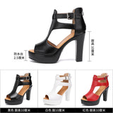 Sandals Women's Large Size 2023 Summer New Thick-Soled Waterproof Platform High-Heeled Open-Toed Model Catwalk