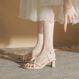 Breakj Sandals Women's 2025 Summer New Wear Fairy Wind Coarse French Small High