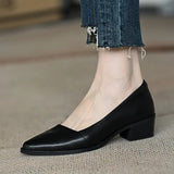 Breakj Single-Shoe Women 2025 New Thick-Heeled French Light Mouth Heeled Women's High