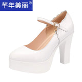 Catwalk High Heels Women's Cheongsam T Show Leather Size Waterproof Table Thick Heel Leather Pointed Single