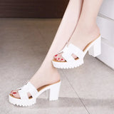 Medium Heels Thick Heel Slippers Women's Summer Thick-Soled Waterproof Platform Fashionable To Wear One-Word Flip-Flops Large Size 40-43