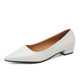 Breakj Pointed Light-Mouthed Square Heel Small Leather Shoes Women Business And Leisure Elegant Commute Single Shoes Fashion High Heels Women Four
